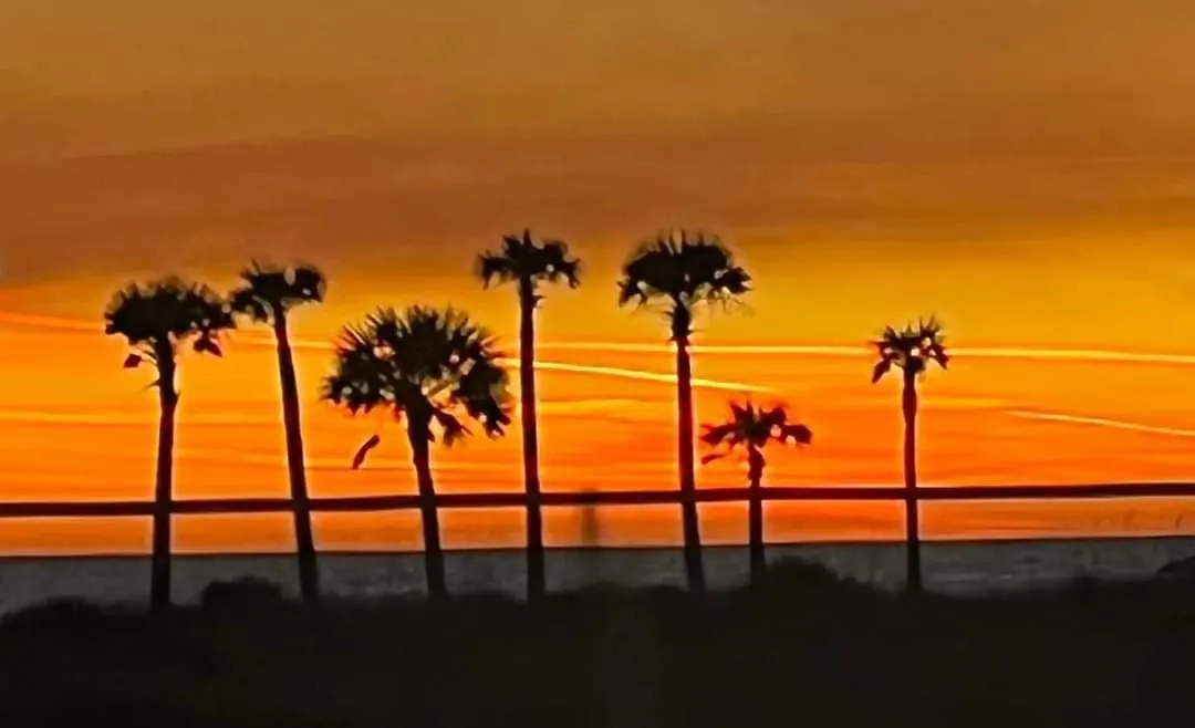 Shores Of Panama 2330 - 1 Bedroom Bunk Area Sleeps 6, Beautiful Direct Beach View! Free Fun! Condo Panama City Beach Apartment
